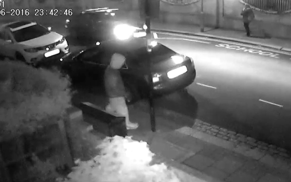 Police released CCTV footage after a woman was stabbed during a robbery in South London