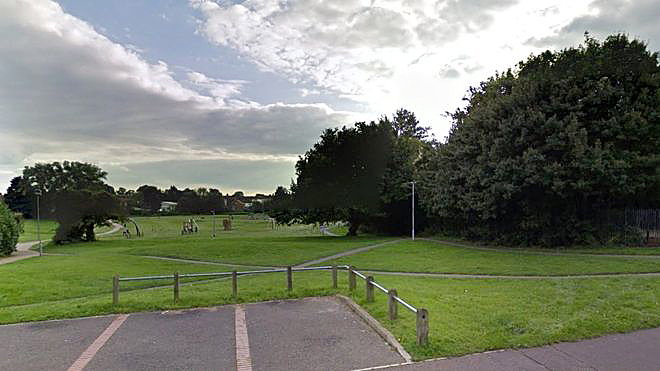 The girl was dragged from Pointers Field, Norwich, to a wooded area