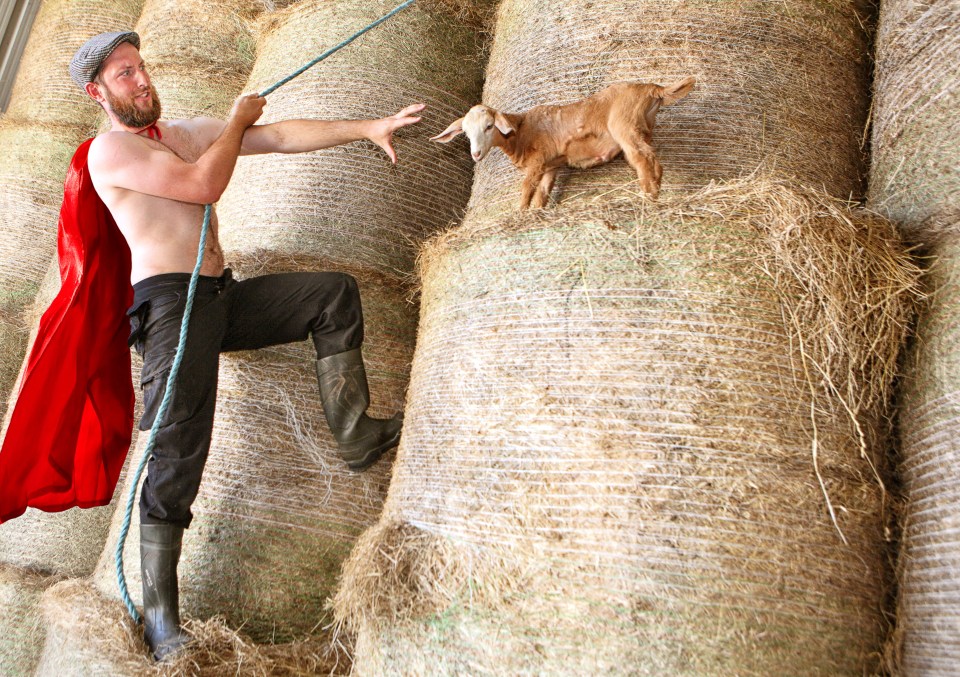 Irish farmers calendar