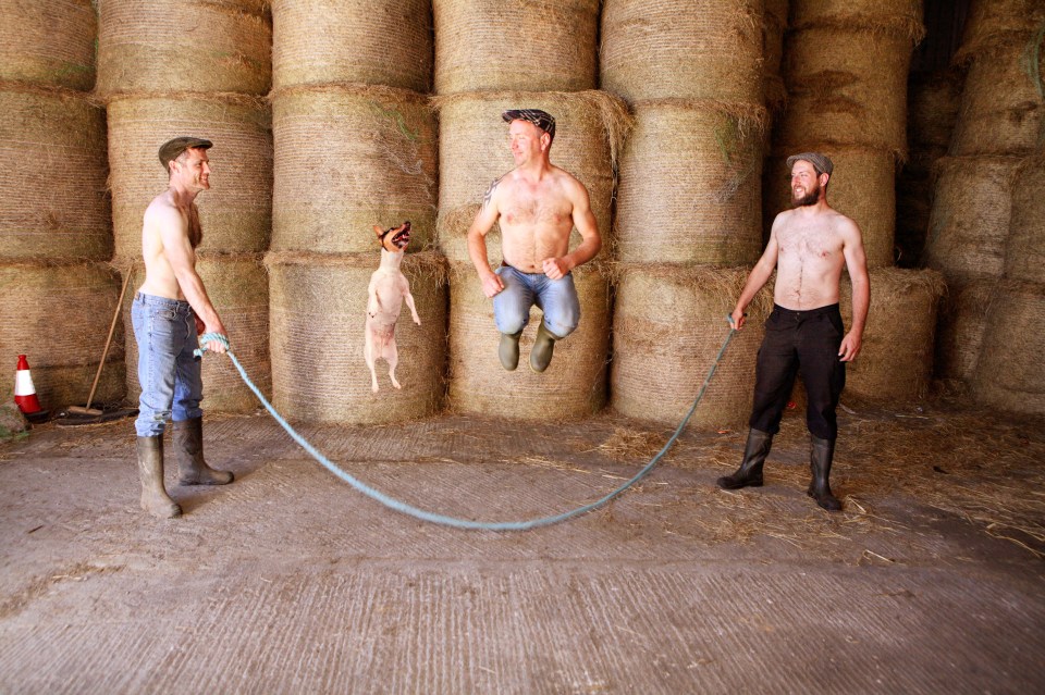 Irish farmers calendar