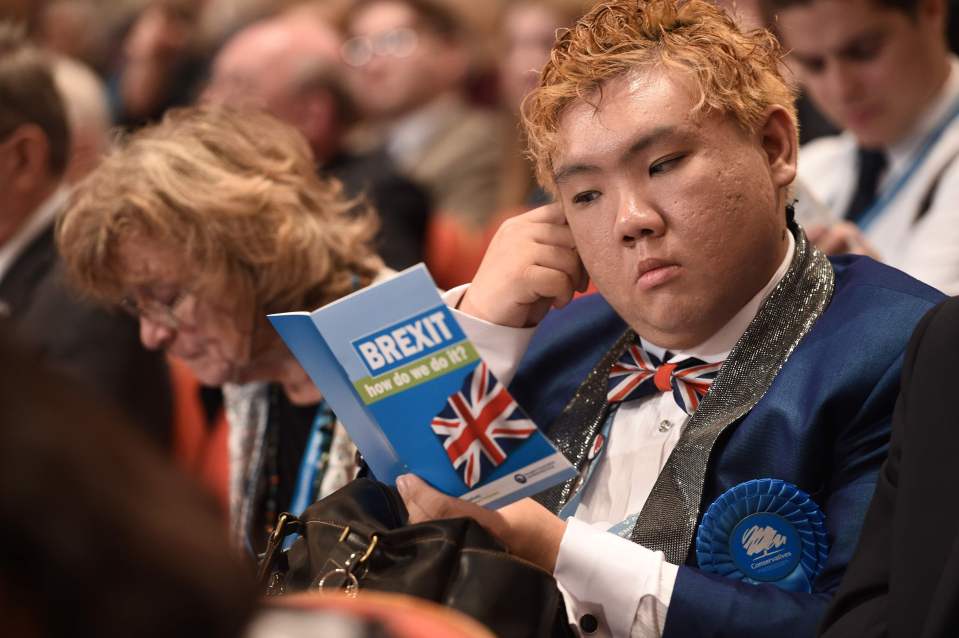 A delegate reads a leaflet entitled "BREXIT, how do we do it?"
