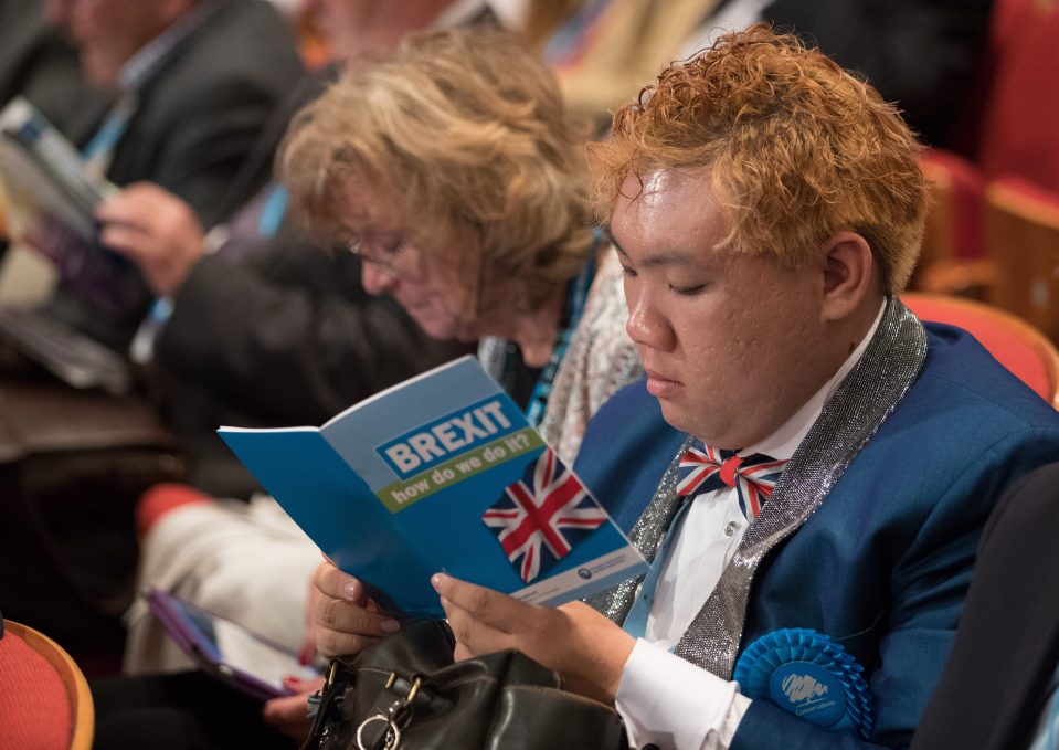 Brexit manual reading delegate