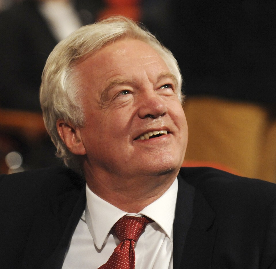 The Prime Minister recently slapped down David Davis for saying it was “highly improbable” Britain would stay in the single market