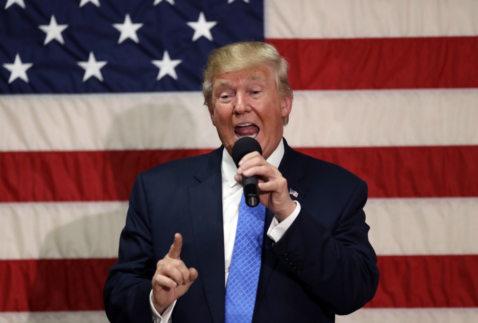 'The Team' is based on Donald Trump's hit show 'The Apprentice'