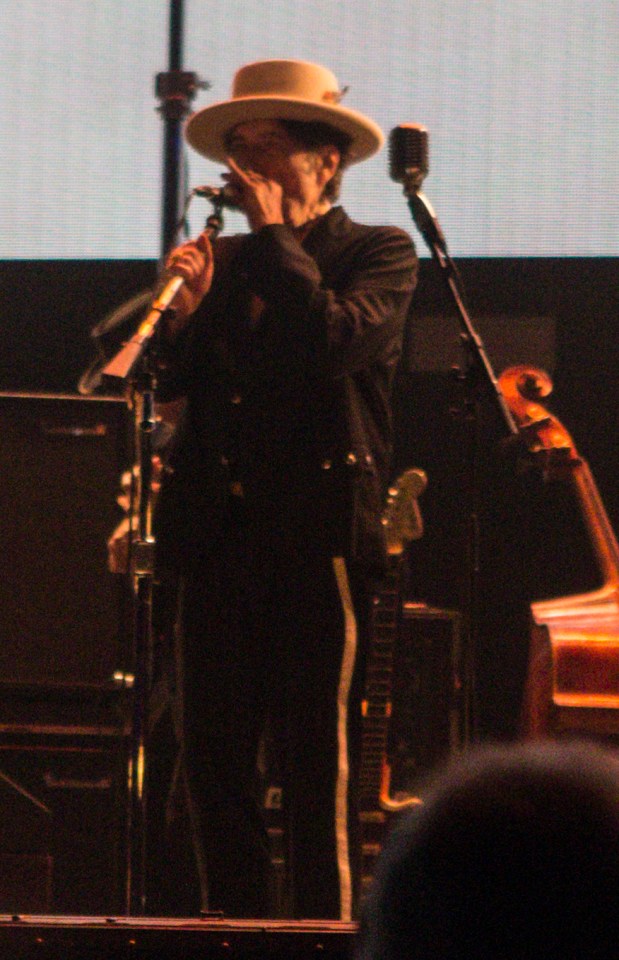 The singer 