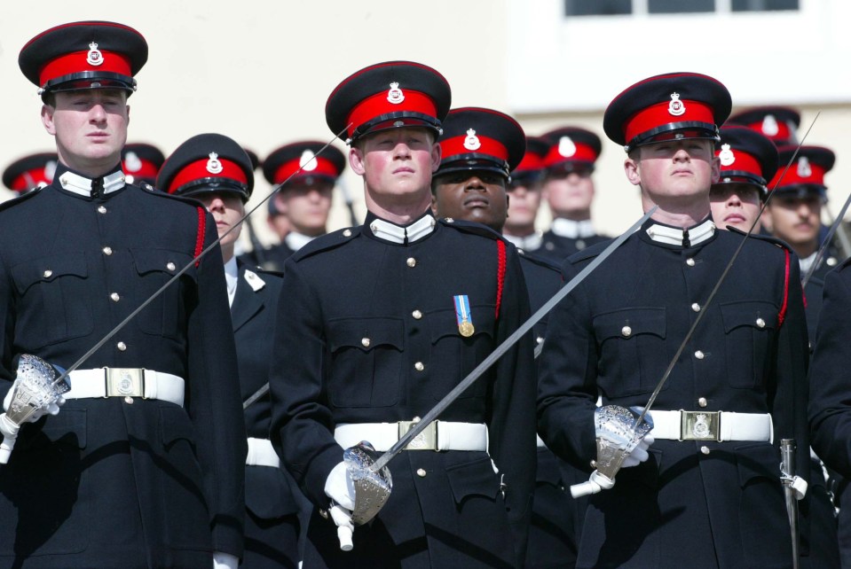 However, his spokesman issued a statement to the contrary and said 'Prince Harry does not comment on issues like this'