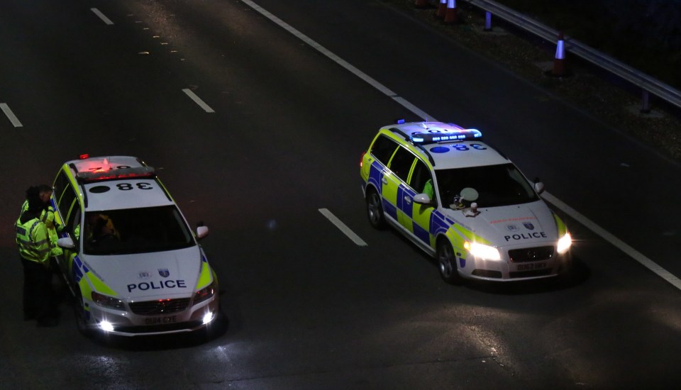Police confirmed the pedestrian had been killed at the scene