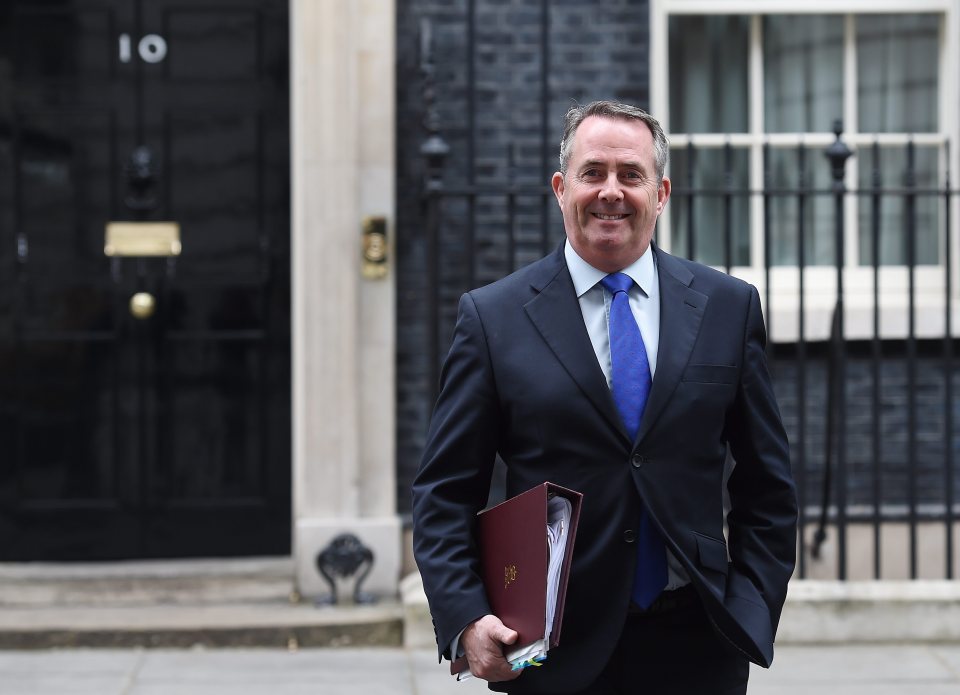 International Trade Secretary Liam Fox has risked Theresa May's wrath by insisting Britain should have a trade deal in place before it leaves the EU
