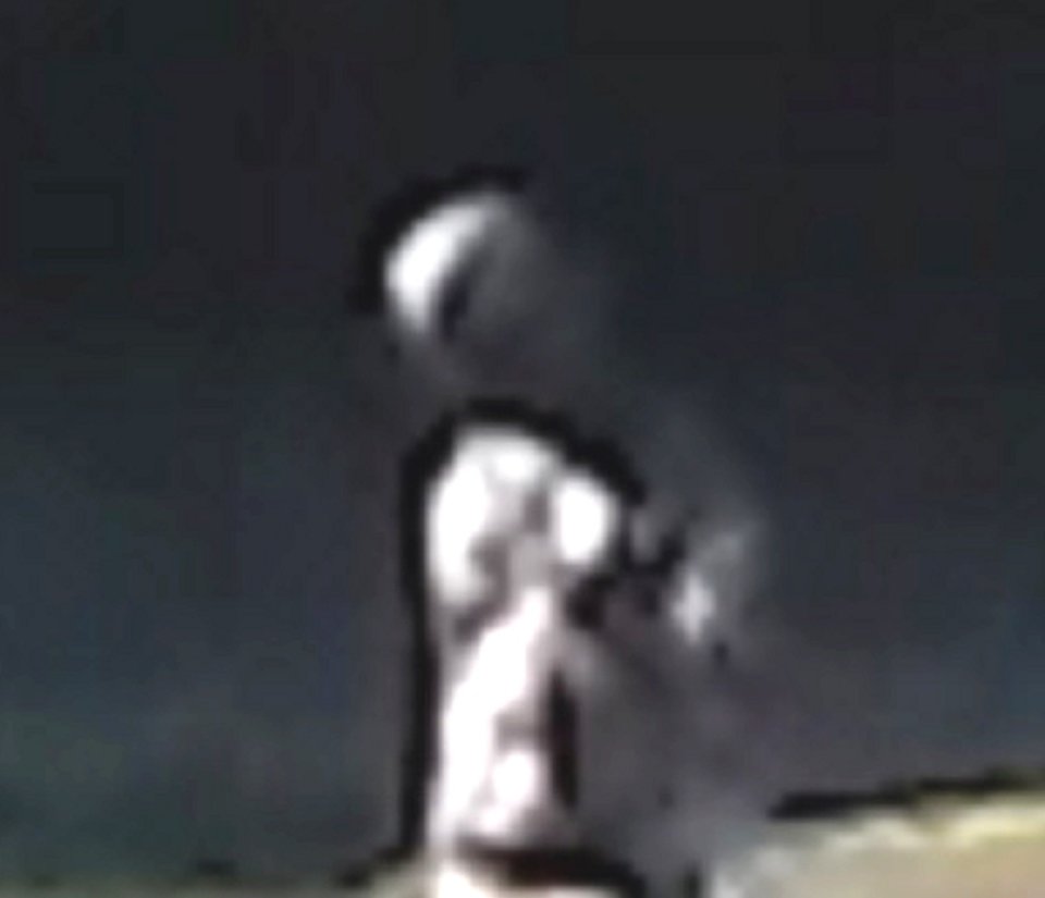 alien spotted in devon
