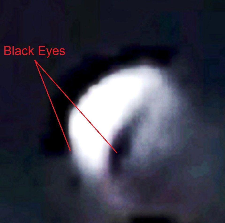 alien in devon eyes