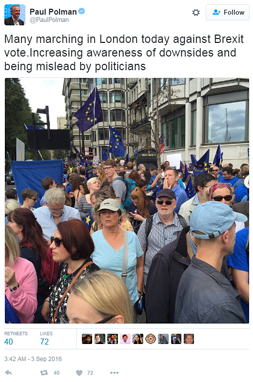 Brexit Polman