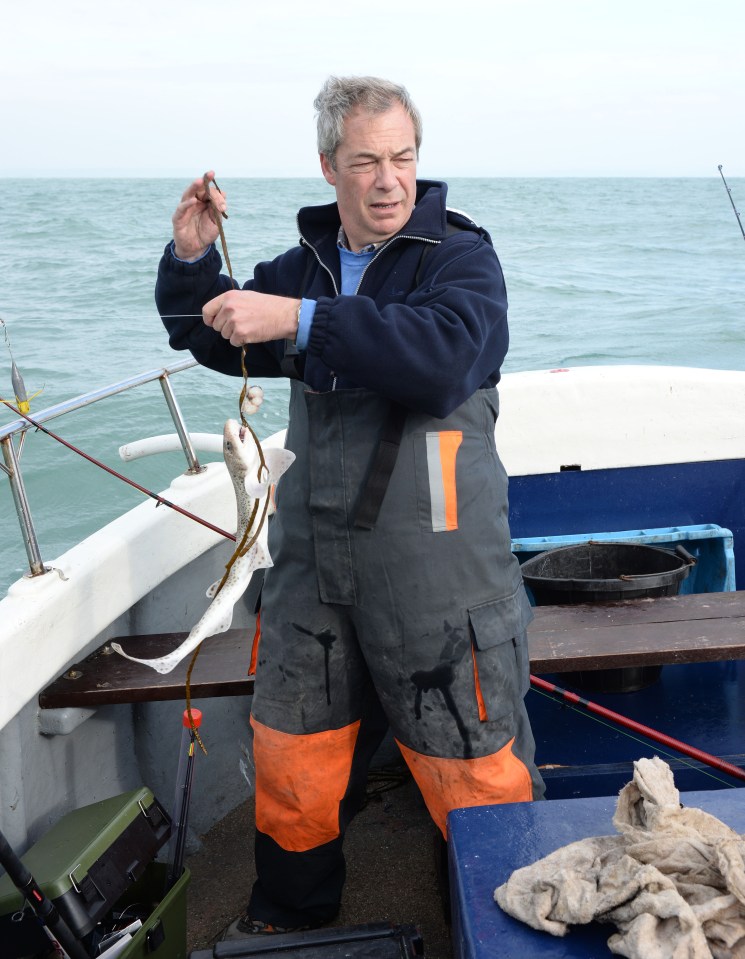 Ukip leader Nigel Farage catches a cod while fishing in the channel