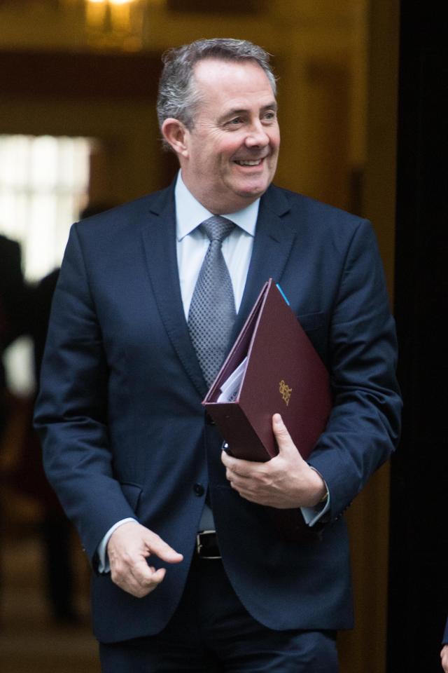 Minister bust-up . . . International Trade Secretary Liam Fox wants to leave the customs union