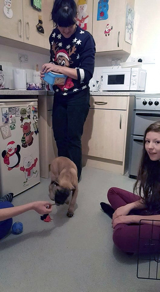 LIZ AND KATIE EDWARDS-MOTHER AND DAUGHTER STABBED TO DEATH IN SPALDING-LINCS