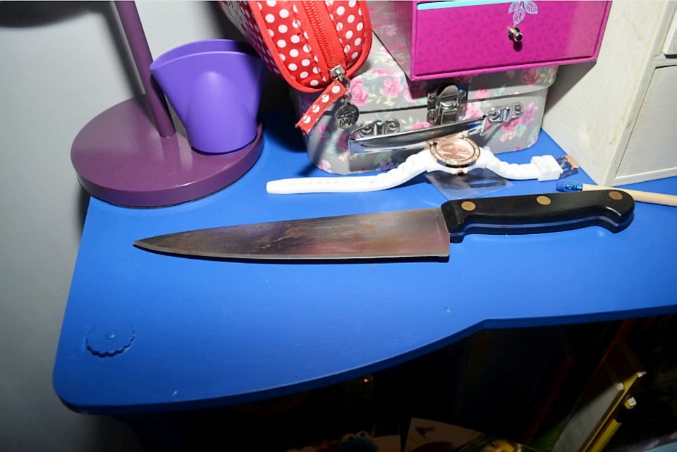 The knife used by the teen killers to murder Elizabeth Edwards and her daughter Katie 