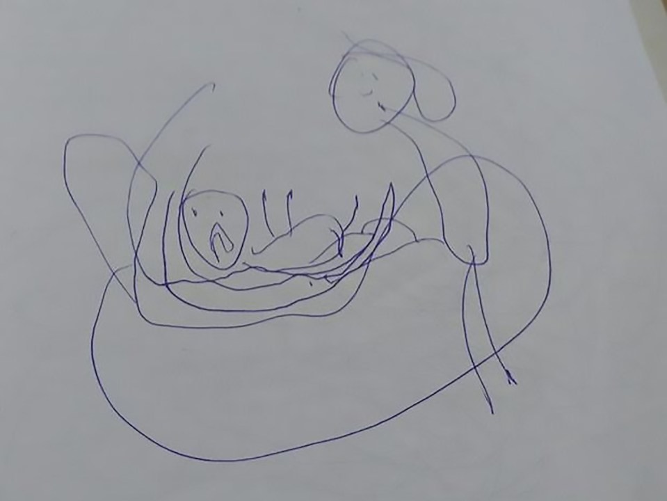 The horrific pictures drawn by the five-year-old child appeared to show a youngster being raped by an adult