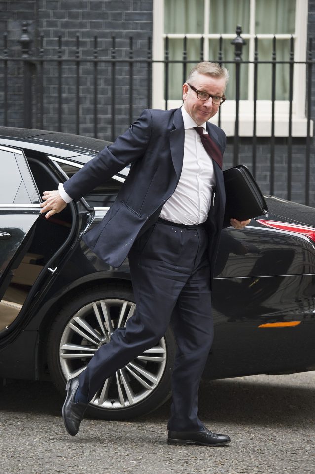 Cabinet meeting in Downing Street, London, Britain - 09 Jun 2014