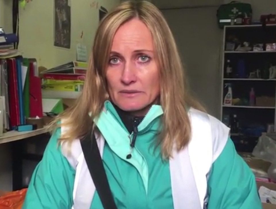 Mrs Moseley, founder of Care4Calais, had said 'parallels could be drawn' with Nazi atrocities