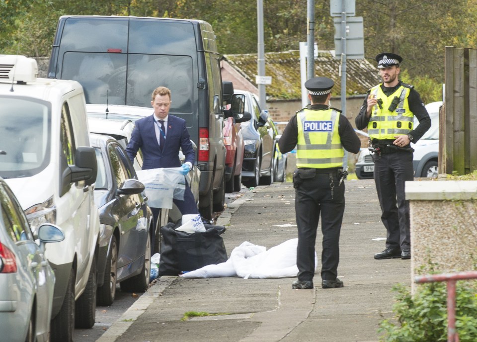 A female officer, 30, and her male colleague aged 31, remain in hospital