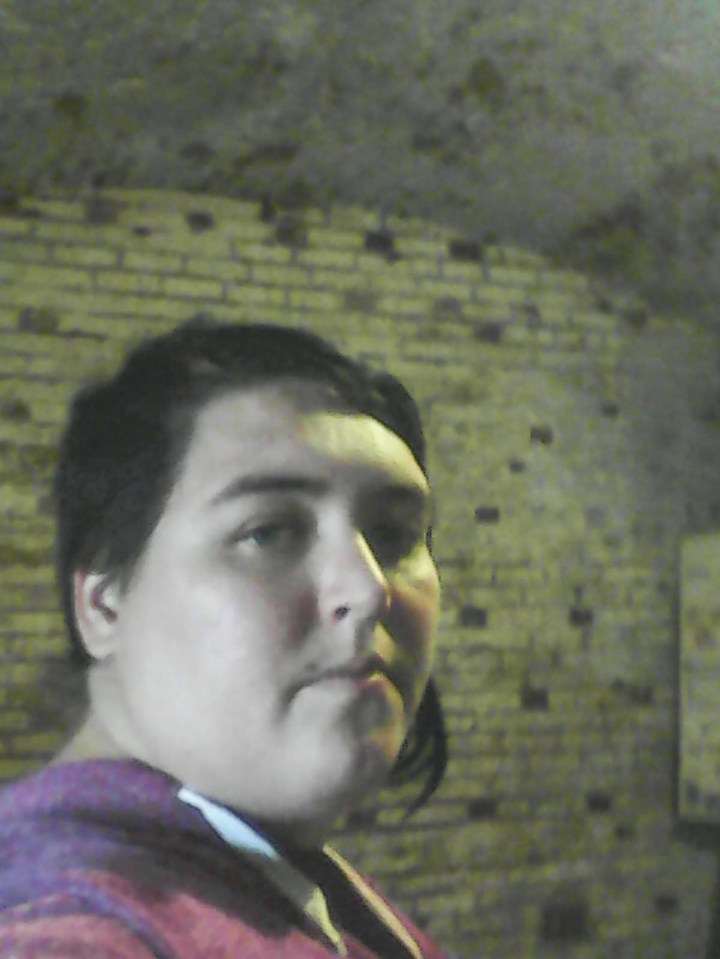 Cara Ward, during her tour of the fort, with the mum saying her friends agreed the photograph of the ghost was 'spooky'