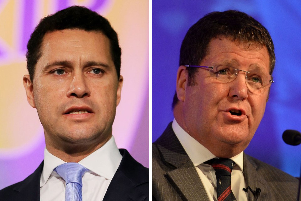 The internal inquiry cleared MEP Mike Hookem of punching Steven Woolfe