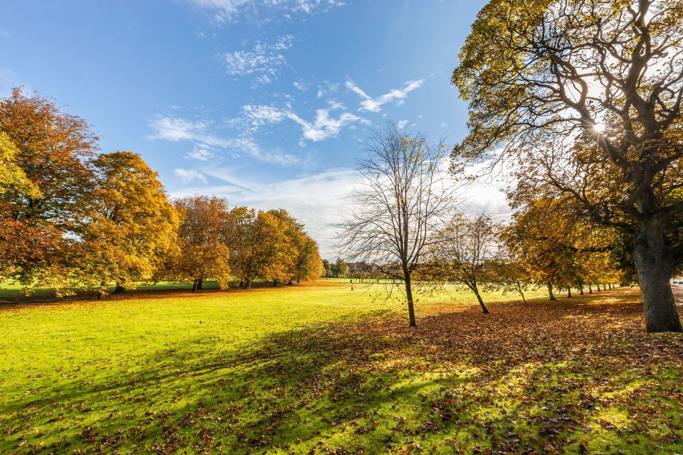 Even the North is seeing blue skies at Harrogate