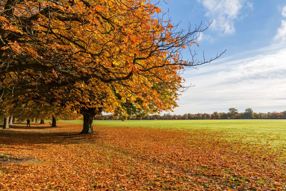 The sun shone down in Harrogate, Yorkshire this morning