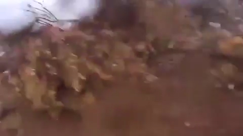 The jihadi falls to the floor after a gunshot rings out