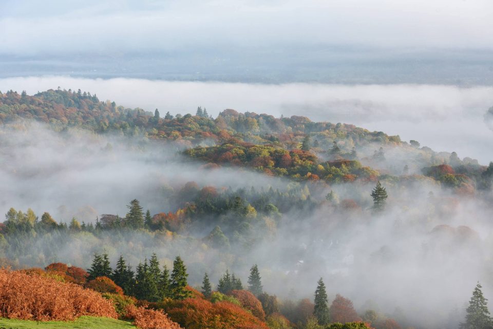 Foggy landscape in Derwentwater in Cumbria earlier today