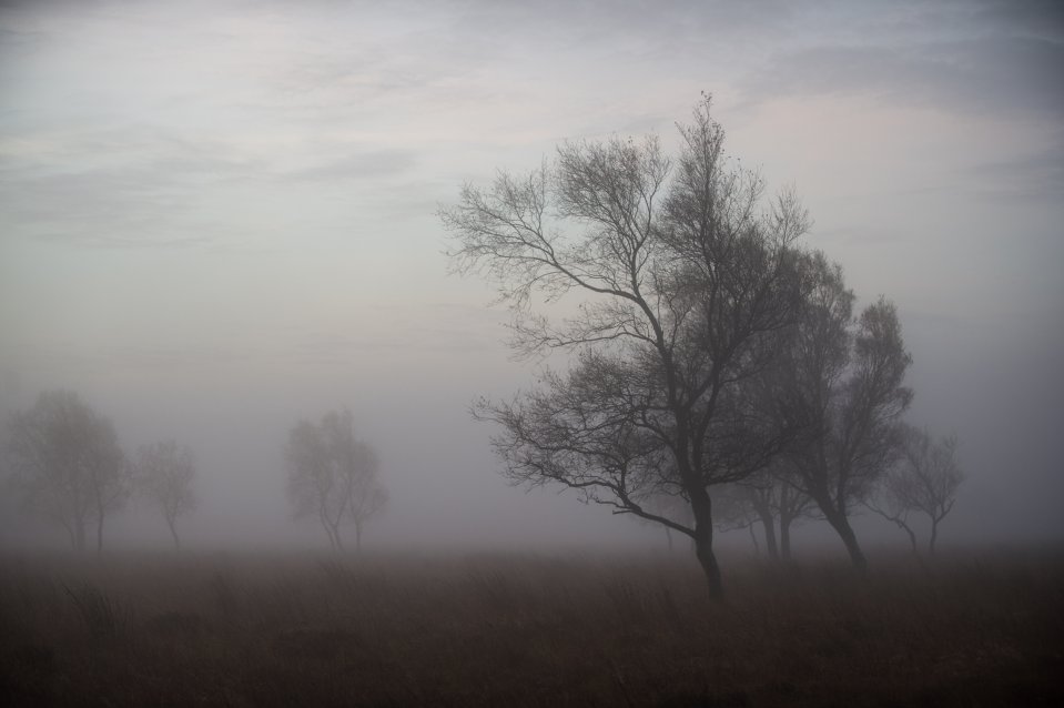 A beautiful misty autumnal morning in the Peak District, Derbyshire this morning