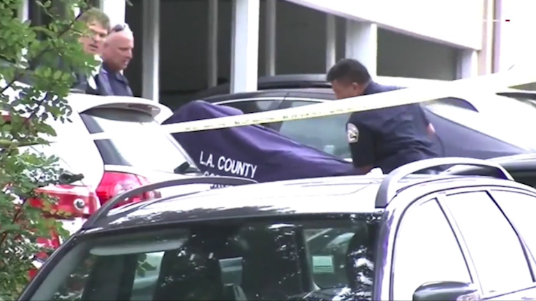 Cops came to apartments where she was killed before her death