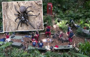 composite-spider-camp