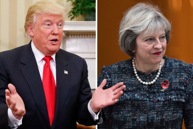 composite trump and may
