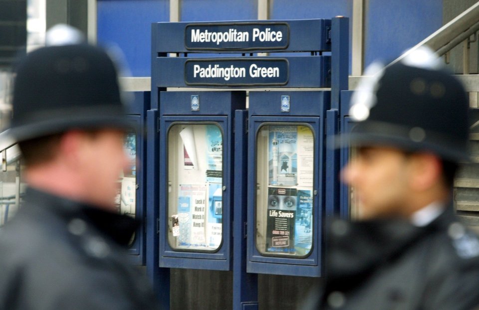 The new patrol units have been deployed in Wandsworth and Lambeth but will soon spread across London