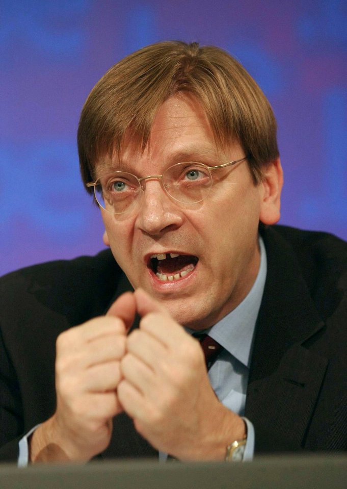 Verhofstadt has been accused of mischief making by Brexiteers 