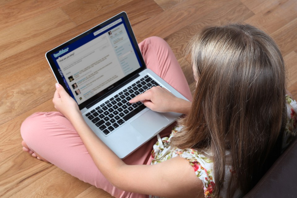 A survey into online trolls has revealed areas where they are most prominent 
