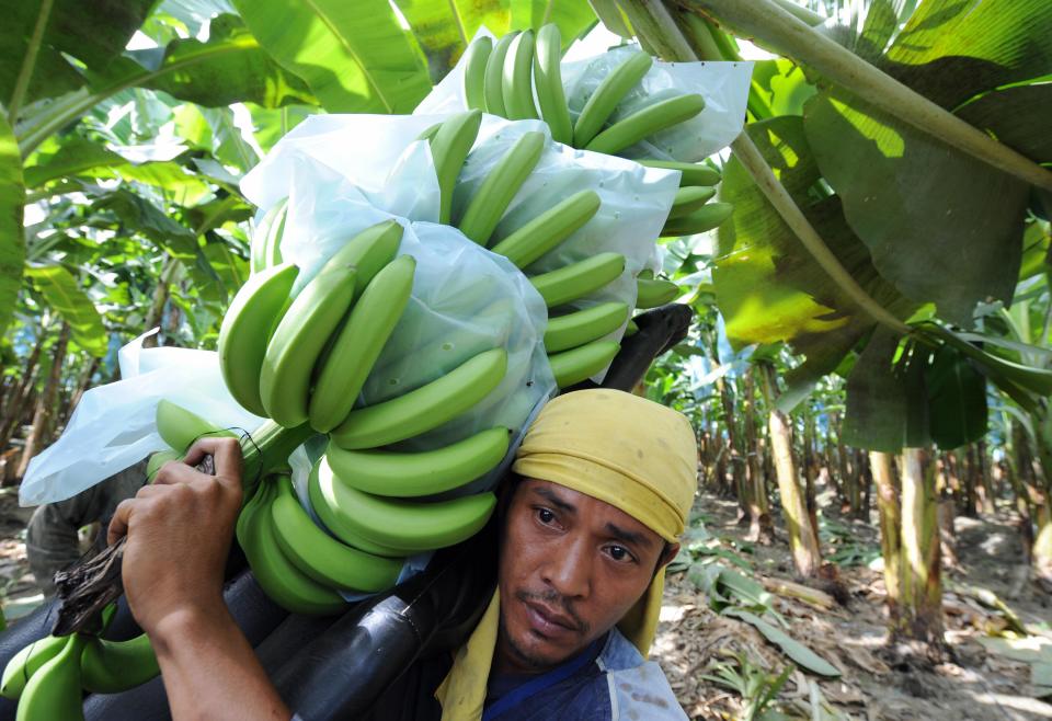 No ap-peal ... the fruit is bought from suppliers around the world in dollars and sterling has dipped since Brexit - making bananas more expensive at source