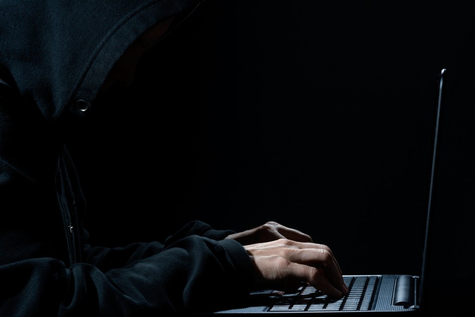Mr Hammond also predicted Britain’s next war against another country would begin via a barrage of cyber attacks