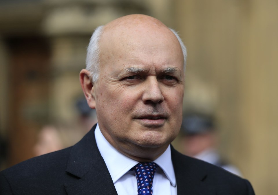 The former minister said the Ukip leader would only represent himself and not the UK