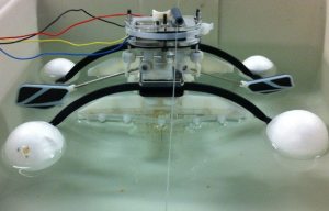 Terrifying robot with a mouth and gut that EATS and digests living things for energy is created by UK boffins