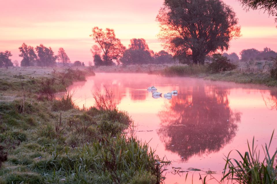 The Old West River turns pink and purple just before dawn on a still, frosty autumn morning in the Fens