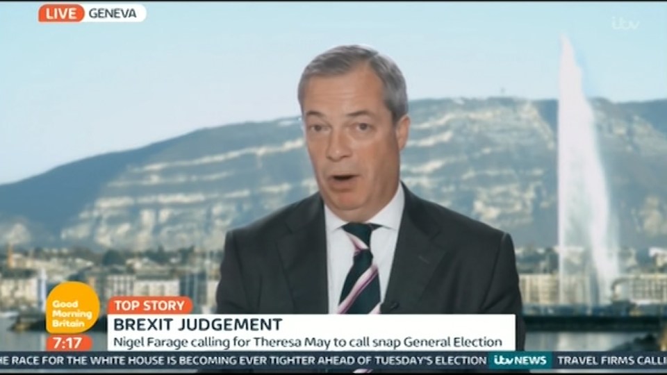 Ukip chief Nigel Farage encouraged her to go to the polls and win the mandate to force through a 'clean' Brexit