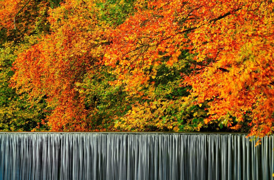 Water flows over Guyzance Weir in Northumberland, against a backdrop of autumnal colour
