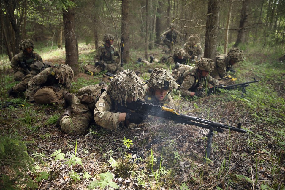 The new figures emerged as tensions rise between NATO and Russia in the Baltic region 