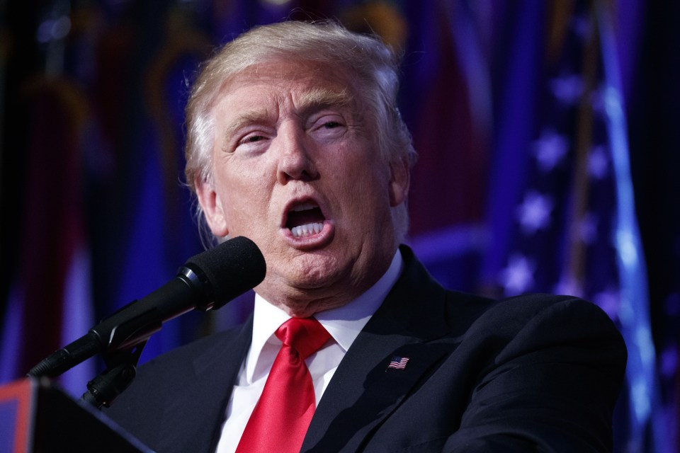 Donald Trump stormed to victory last night to become the first reality star in the White House