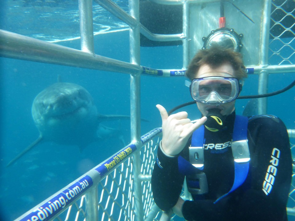 These snaps show how close you can get to these deadly predators