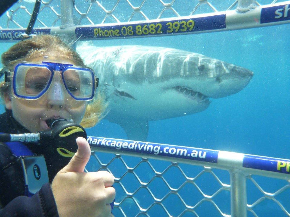 Thumbs up as one guy take a 'selfie' with a great white shark
