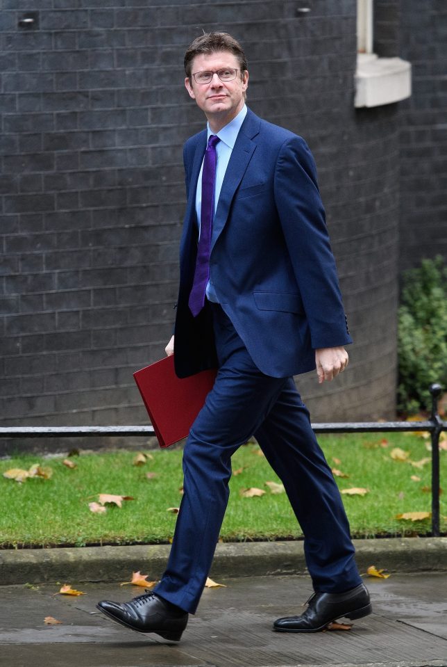 The minister refuted the details of the document - which suggested the UK would not stay in the single market