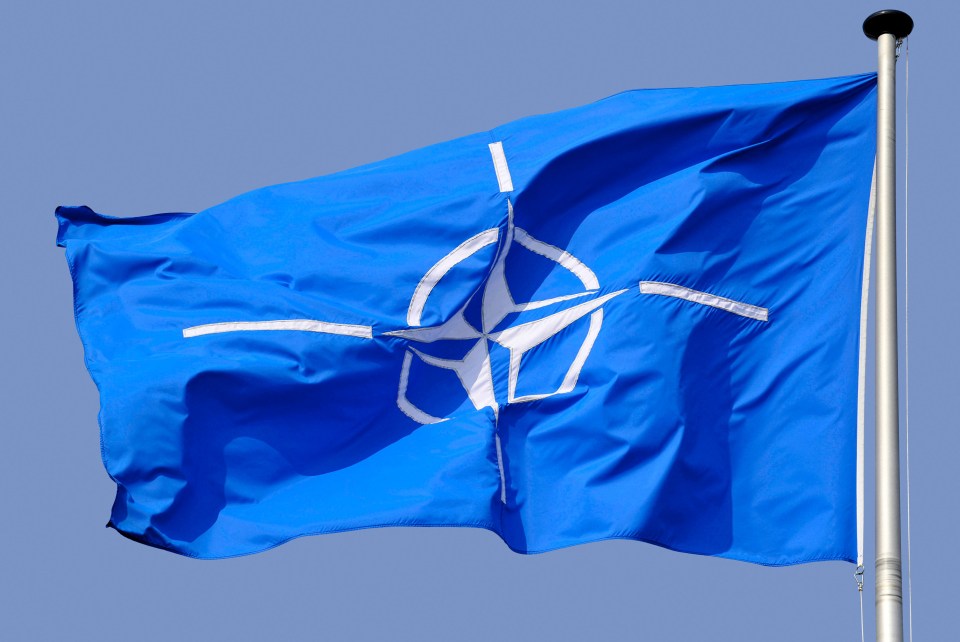 Nato now has 28 member states -including the 12 original members