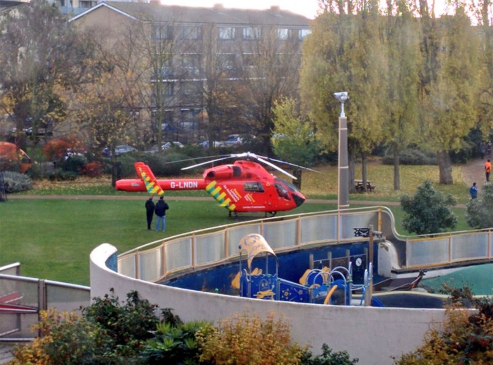 An air ambulance was called in along with dozens of cops and paramedics 